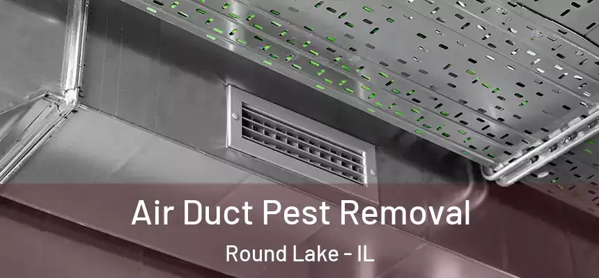  Air Duct Pest Removal Round Lake - IL