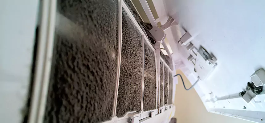 Preventive Air Duct Bacteria Removal in Round Lake