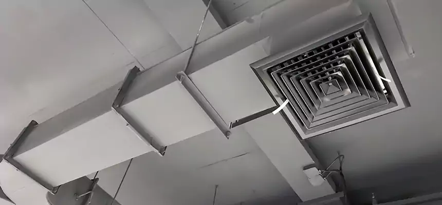 Restorative Allergy Relief Vent Cleaning – Coil, Blower & Housing Detail in Round Lake