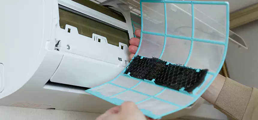 Gentle Ductwork Odor-Control Pet Dander Duct Cleaning in Round Lake, IL