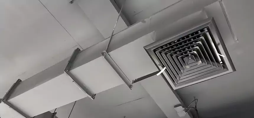 Our Rodent Droppings In Vents Services in Round Lake, IL