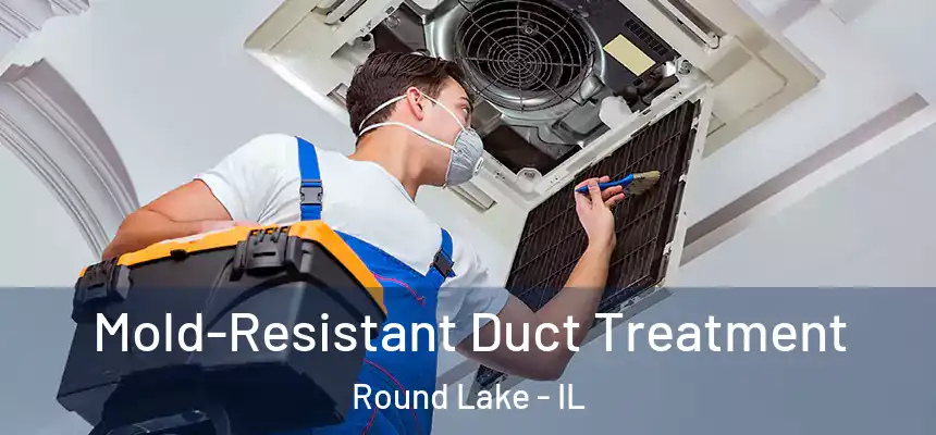  Mold-Resistant Duct Treatment Round Lake - IL