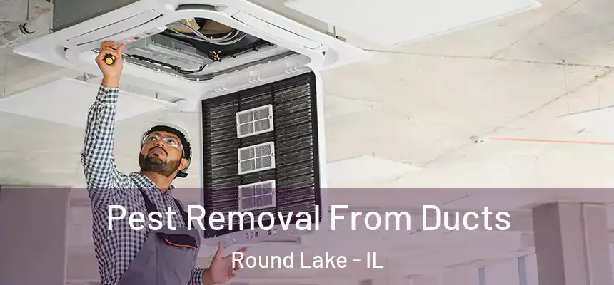  Pest Removal From Ducts Round Lake - IL