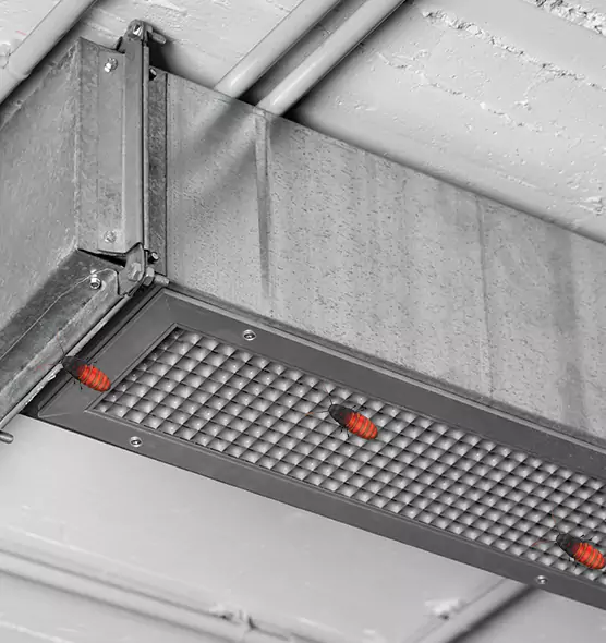 Affordable Insect Removal from Air Ducts in Round Lake, IL