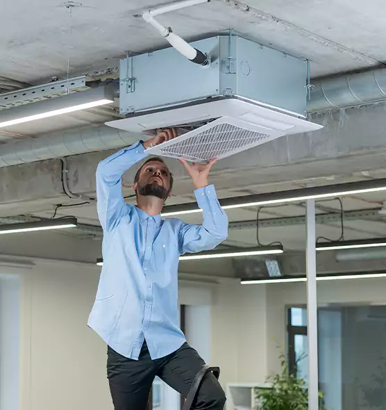 Advanced Rodent Droppings In Vents in Round Lake, IL