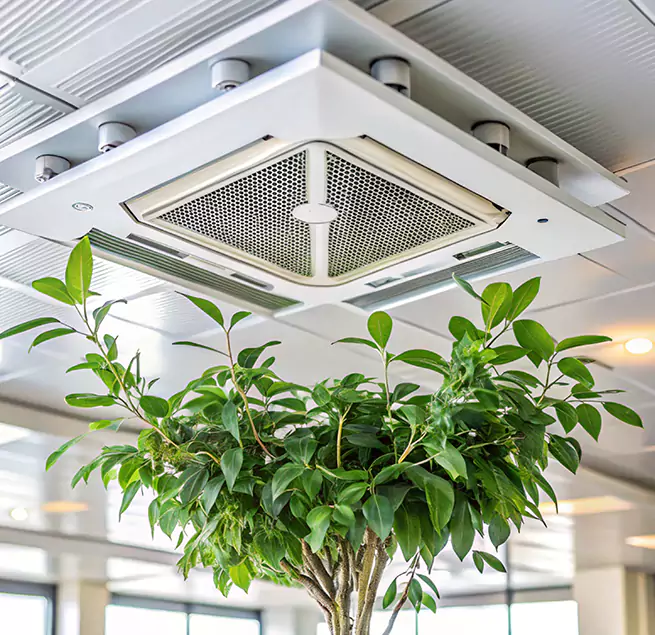 Why Homeowners & Businesses Trust Us in Round Lake, IL?