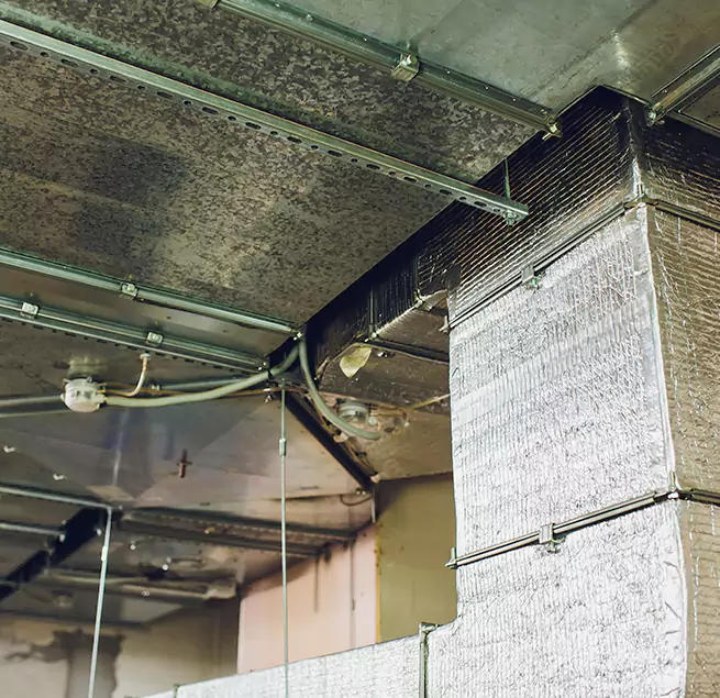 Why Homeowners & Businesses Trust Us in Round Lake, IL?